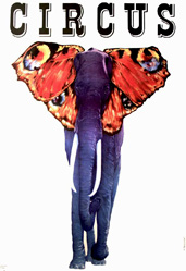 Circus Circus