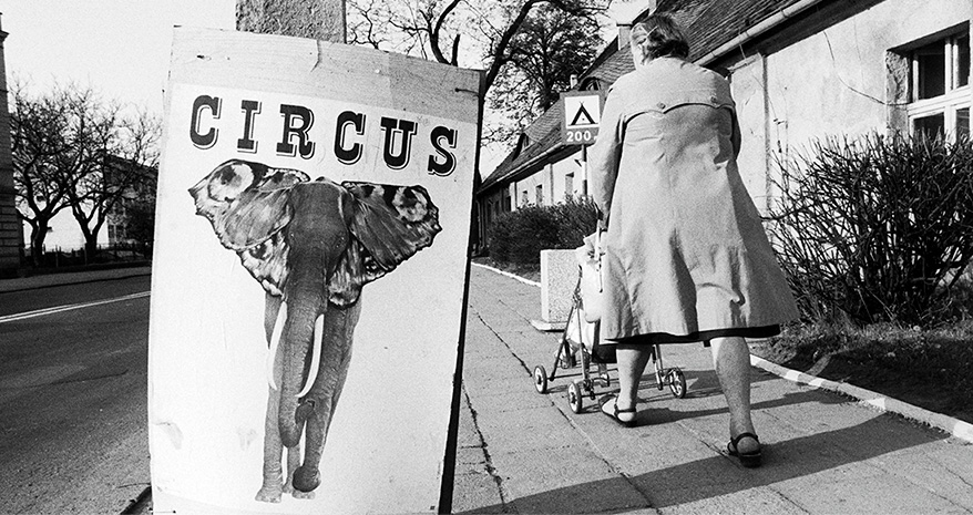 Circus
