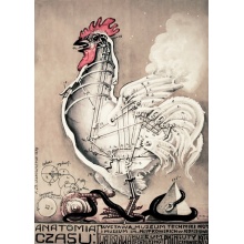 anatomia