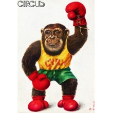 Circus